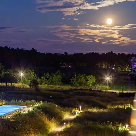 Angel *